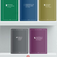 Pachet Seria Mari clasici ai literaturii (Incomplet) - Hardcover - George Orwell, Gustave Flaubert, Stendhal - Litera