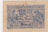 ROMANIA 1 LEU 1920 F varianta de culoare