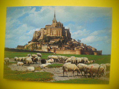 HOPCT 88934 CIOBAN CU OILE-MONT SAINT MICHEL -FRANTA-CIRCULATA foto