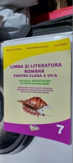 LIMBA SI LITERATURA ROMANA CLASA A VII A APLICATII RECAPITULARI TESTE EVALUARE