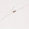 100R-0,5W REZISTENTA 100OHM 5%,1/2W,AA,TP,2 2001-000028 Masina de Spalat Samsung WF9622