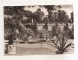 FA140 -Carte Postala- GERMANIA - Potsdam-Sanssouci. Sizilianischer Garten , circulata 1974
