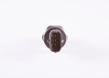 BOSCH 0 281 006 158 Senzor, presiune combustibil
