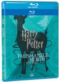 Harry Potter si Talismanele Mortii: Partea 1 / Harry Potter and the Deathly Hallows: Part 1 (Blu-Ray Disc) | David Yates