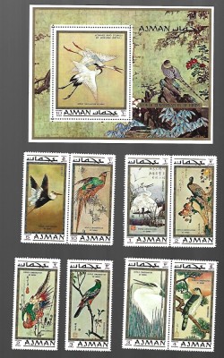 ajman pasari mnh foto
