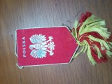 FANION MIC POLONIA INTERESANT