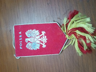FANION MIC POLONIA INTERESANT foto
