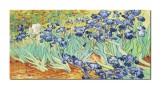 Cumpara ieftin Tablou pictat manual living, dormitor - Irisi la Saint-Remy - 120x60cm ulei pe panza, repro Vincent van Gogh