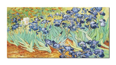 Tablou pictat manual living, dormitor, Irisi la Saint-Remy, 120x60cm ulei pe panza, repro Vincent van Gogh foto