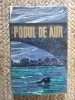 Podul de aur &ndash; Aurel Mihale