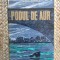 Podul de aur &ndash; Aurel Mihale