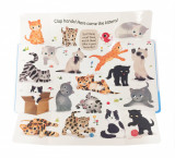 Clap Hands: Here Come the Kittens | Pat-a-Cake, Hachette Children&#039;s Group