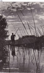 AMS - ILUSTRATA 1234, PRIN BALTILE DELTEI DUNARII, ANUL 1961