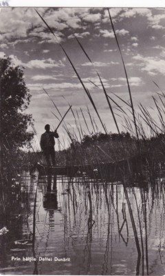 AMS - ILUSTRATA 1234, PRIN BALTILE DELTEI DUNARII, ANUL 1961 foto