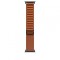 APPLE WATCH 49 TERRA CTTA B TI ALP S-ZML
