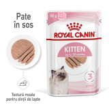 Cumpara ieftin Royal Canin Kitten hrana umeda pisica (pate), 12x85 g