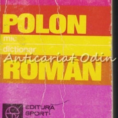 Mic Dictionar Polon-Roman - Vladimir Iliescu