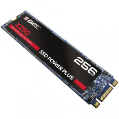 SSD Emtec X250, 256GB, SATA M2 2280, R/W speed 520MBs/500MBs foto