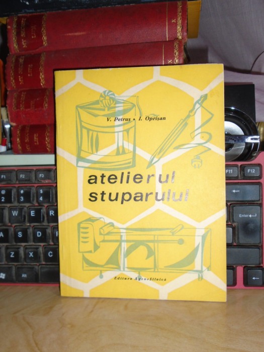 V. PETRUS - ATELIERUL STUPARULUI , 1967