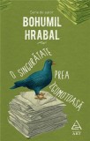 O singuratate prea zgomotoasa | Bohumil Hrabal, ART