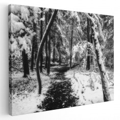 Tablou peisaj padure iarna Tablou canvas pe panza CU RAMA 80x120 cm