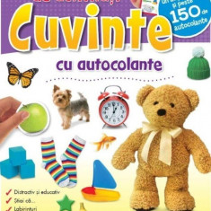 Cuvinte. Carte de activitati cu autocolante |