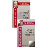 Ce patimesc fratii nostri. Ceasul pe care-l asteptam, volumele 8-9 - Nicolae Iorga