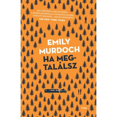 Ha megtal&amp;aacute;lsz - Emily Murdoch foto