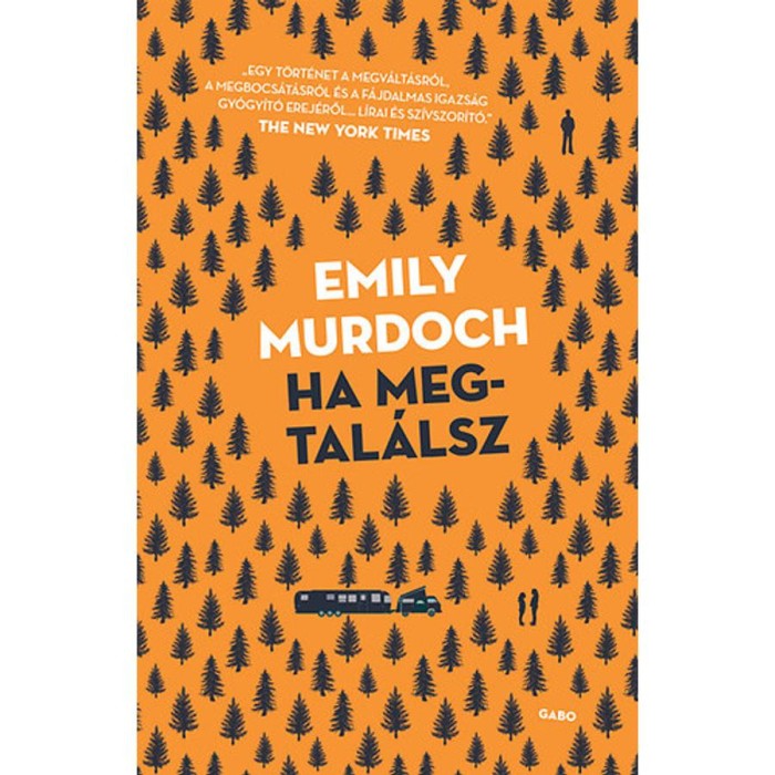 Ha megtal&aacute;lsz - Emily Murdoch