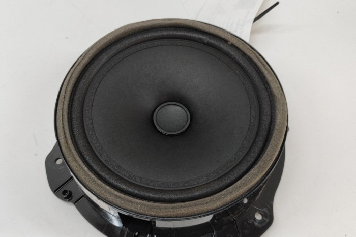 Difuzor ușă dreapta față JAGUAR F-PACE X761 2022 OEM: GX73-18808-DC | 31656262
