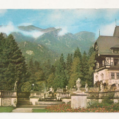 RF9 -Carte Postala- Sinaia, Castelul Peles, circulata 1967