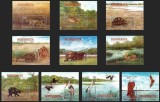 SRI LANKA 2025 FAUNA DIN PARCUL NATIONAL PASARI SI ANIMALE SALBATICE