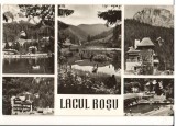 CPIB 22175 - CARTE POSTALA - LACUL ROSU, MOZAIC