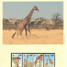 Kenya.1989 WWF Protejarea naturii-Girafa serie,FDC,maxime DZ.20