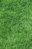 SRI LANKA, Covor Gazon Iarba Artificiala, Verde, 40 mm, Latime 2 m - 200x400