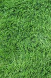 SRI LANKA, Covor Gazon Iarba Artificiala, Verde, 40 mm, Latime 2 m - 200x400