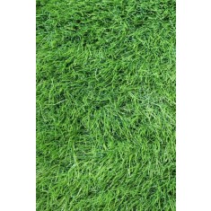 SRI LANKA, Covor Gazon Iarba Artificiala, Verde, 40 mm, Latime 1 m - 100x400