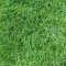 SRI LANKA, Covor Gazon Iarba Artificiala, Verde, 40 mm, Latime 2 m - 200x400