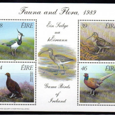 IRLANDA 1989, Fauna, Pasari, serie neuzata, MNH