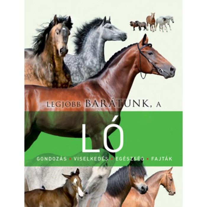 Legjobb bar&aacute;tunk, a l&oacute;