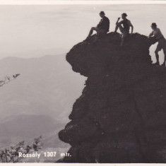 BAIA MARE ,VARFUL ROZSALY 1307 m,NECIRCULATA,ROMANIA.