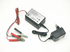 Redresor mentenanta acumulator Auto 12v / 10-250Ah. foto