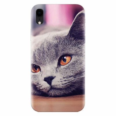 Husa silicon pentru Apple Iphone XR, British Shorthair Cat Yellow Eyes Portrait foto