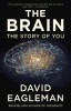 The Brain: The Story of You