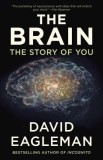 The Brain: The Story of You