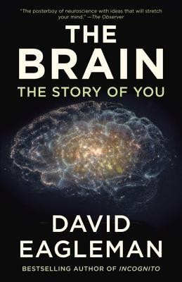 The Brain: The Story of You foto