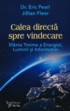 Cumpara ieftin Calea directa spre vindecare. Sfanta Treime a energiei, luminii si informatiei - 2023 - Jillian Fleer (@C288)