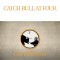 Cat Stevens Catch Bull At Four 50th Anniv. Ed. LP remaster (vinyl gatefold)