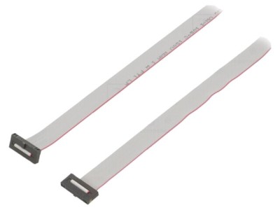 Cablu panglică SAMTEC IDC 914,4mm FFSD-10-D-36.00-01-N-SR cu conectori IDC ambele părți foto