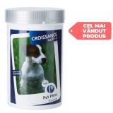 Supliment Pet Phos vitamine pentru caini 500 tablete